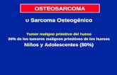 OSTEOSARCOMA U Sarcoma Osteogénico Tumor maligno primitivo del hueso 30% de los tumores malignos primitivos de los huesos Niños y Adolescentes (80%)