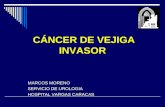 CÁNCER DE VEJIGA INVASOR CÁNCER DE VEJIGA INVASOR MARCOS MORENO SERVICIO DE UROLOGIA HOSPITAL VARGAS CARACAS.