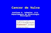 Cancer de Vulva Kathleen M. Schmeler, M.D. Departamento de Ginecologia Oncologica.