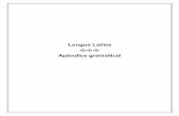 Gramatica Latina [Cuadros Resumen]
