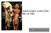 Clase de Piel y Anexos Cutaneos 2013.pdf