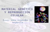 Material Genetico y Reproduccion Celular HAMMERLING