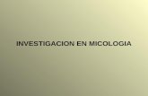 Investigacion en Micologia