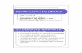 CAP 12 Metabolismo de Lipidos