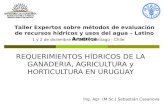 REQUERIMIENTOS HÍDRICOS DE LA GANADERIA, AGRICULTURA y HORTICULTURA EN URUGUAY Taller Expertos sobre métodos de evaluación de recursos hídricos y usos.