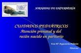 CUIDADOS PEDIÁTRICOS Atención prenatal y del recién nacido en paritorio JORNADAS DE ENFERMERÍA Eva Mª Argandoña Palacios Matrona.