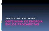 METABOLISMO BACTERIANO. Metabolismo Definición: conjunto de reacciones bioquímicas que permiten el crecimiento de un organismo. En bacterias aumento del.