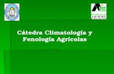 Cátedra Climatología y Fenología Agrícolas. BALANCE HIDROLÓGICO CLIMÁTICO MÉTODO DE THORNTHWAITE DE 1948.
