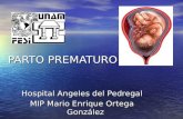 PARTO PREMATURO Hospital Angeles del Pedregal MIP Mario Enrique Ortega González.