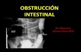Dr. Marcos A Velasco Pérez RCG. Definición de Obstrucción Intestinal La obstrucción u oclusión intestinal constituye una identidad patológica bien definida.