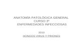 ANATOMÍA PATOLÓGICA GENERAL CURSO 3º ENFERMEDADES INFECCIOSAS 2010 HONGOS VIRUS Y PRIONES.