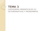 TEMA 3 CATEGORÍAS GRAMATICALES (II) DETERMINATIVOS Y PRONOMBRES.