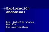 Exploración abdominal Dra. Guiselle Vindas Murillo Gastroenteróloga.