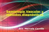 Free Powerpoint Templates Page 1 Free Powerpoint Templates Semiología Vascular y métodos diagnósticos Dra. Marcela Carrillo.