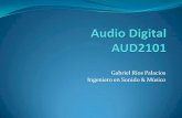 AUD2101 - P05 Transmisión de Audio Digital