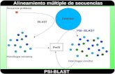 Alineamiento múltiple de secuencias PSI-BLAST. Alineamiento múltiple de secuencias Resumen de cómo se utiliza PSI-BLAST.