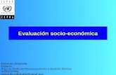 Evaluación socio-económica Eduardo Aldunate Experto Área de Políticas Presupuestarias y Gestión Pública ILPES/CEPAL eduardo.aldunate@cepal.org.