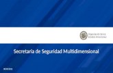 Secretaría de Seguridad Multidimensional 08/30/2011.