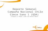 Reporte Semanal Campaña Nacional Chile Crece Sano 1 (GDA) Colegios e Híper Líder de Puerto Montt.