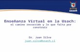 Enseñanza Virtual en la Usach: el camino recorrido y lo que falta por construir Dr. Juan Silva juan.silva@usach.cl.