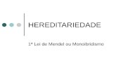 HEREDITARIEDADE 1ª Lei de Mendel ou Monoibridismo.