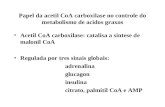 Papel da acetil CoA carboxilase no controle do metabolismo de acidos graxos Acetil CoA carboxilase: catalisa a sintese de malonil CoA Regulada por tres.
