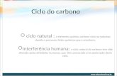 Ciclo do carbono ciclo natural : o elemento químico carbono cicla na natureza devido a processos físico-químicos que o envolvem; Interferência humana: