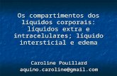Os compartimentos dos líquidos corporais: líquidos extra e intracelulares; líquido intersticial e edema Caroline Pouillard aquino.caroline@gmail.com.