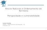 1 Riscos Naturais e Ordenamento do Território Perigosidade e vulnerabilidade Lúcio Cunha CEGOT – Departamento de Geografia – UC luciogeo@ci.uc.pt.