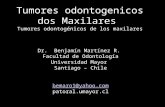 Tumores odontogenicos dos Maxilares Tumores odontogénicos de los maxilares Dr. Benjamín Martínez R. Facultad de Odontología Universidad Mayor Santiago.