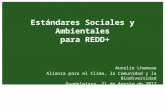 Estándares Sociales y Ambientales para REDD+ Aurelie Lhumeau Alianza para el Clima, la Comunidad y la Biodiversidad Guadalajara, 21 de Agosto de 2012.
