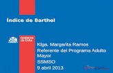 Índice de Barthel Klga. Margarita Ramos Referente del Programa Adulto Mayor SSMSO 9 abril 2013.