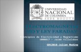 Principios de Electricidad y Magnetismo 1000017 – Jaime Villalobos G012N18-Julian Medina.