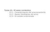 Tema 13.- El amor romántico 13.1.- Caracterización del enamoramiento 13.2.- Bases fisiológicas del amor 13.3.- El cerebro enamorado.