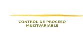 6. Control de Procesos Multivariables_000