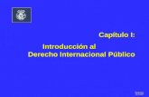 Daniel Soto 28.03.2007 Capítulo I: Introducción al Derecho Internacional Público.