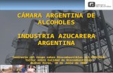 Seminario del Grupo sobre Biocombustibles del MERCOSUR Taller sobre Calidad de Biocombustibles Buenos Aires, 10 de Junio de 2008 CÁMARA ARGENTINA DE ALCOHOLES.