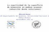 La reactividad de la superficie de minerales en medios acuosos. (adsorción desde soluciones) Marcelo Avena INQUISUR-Departamento de Química, Universidad.