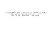 MICRODIALISIS CEREBRAL Y SATURACION DE O2 DEL BULBO YUGULAR.