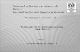 Universidad Nacional Autónoma de México Facultad de Estudios Superiores Iztacala Metodología Científica III Autor: Vázquez Machorro Angélica Producción.