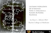Las bases moleculares de la herencia Parte 1: Estructura y función de Ácidos Nucleicos.