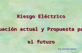 Riesgo Eléctrico Situación actual y Propuesta para el futuro Ing. Gerardo Salorio.