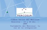 Cumbre Social del Mercosur Brasilia – 13 y 14 dic. – 2006 Parlamento del Mercosur: tu voz en la integración.