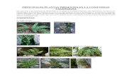 botánica guía visual de plantas y helechos de la comunidad valenciana (i)118