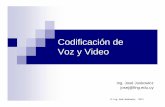Codificacion de Voz y Video (Presentacion)