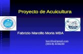 Proyecto de Acuicultura Fabrizio Marcillo Morla MBA barcillo@gmail.com (593-9) 4194239.