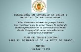 INGENIERÍA EN COMERCIO EXTERIOR Y NEGOCIACIÓN INTERNACIONAL Plan de comercio exterior y negociación internacional para la exportación de pulpa de camote.