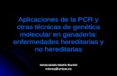 Aplicaciones de la PCR y otras técnicas de genética molecular en ganadería: enfermedades hereditarias y no hereditarias Inmaculada Martín Burriel minma@unizar.es.