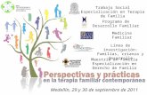 Medicina Familiar Medellín, 29 y 30 de septiembre de 2011 Trabajo Social Especialización en Terapia de Familia Línea de investigación: Familias, crianza.