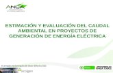 ESTIMACIÓN Y EVALUACIÓN DEL CAUDAL AMBIENTAL EN PROYECTOS DE GENERACIÓN DE ENERGÍA ELÉCTRICA VI Jornadas de Generación del Sector Eléctrico 2013.